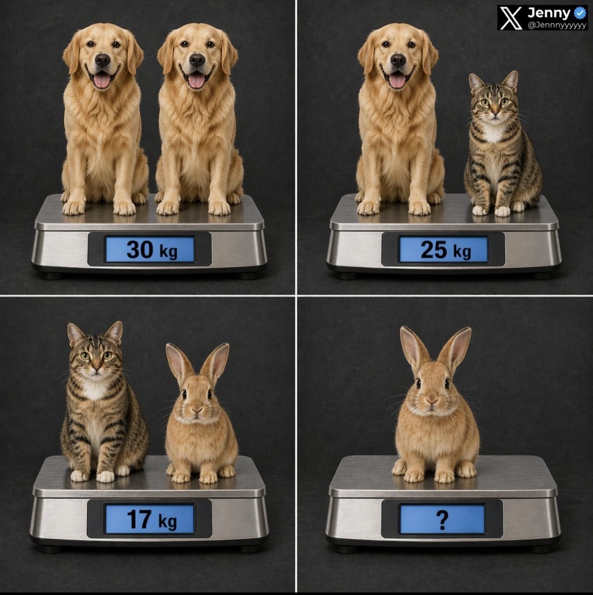 Uche_Ria tweet media