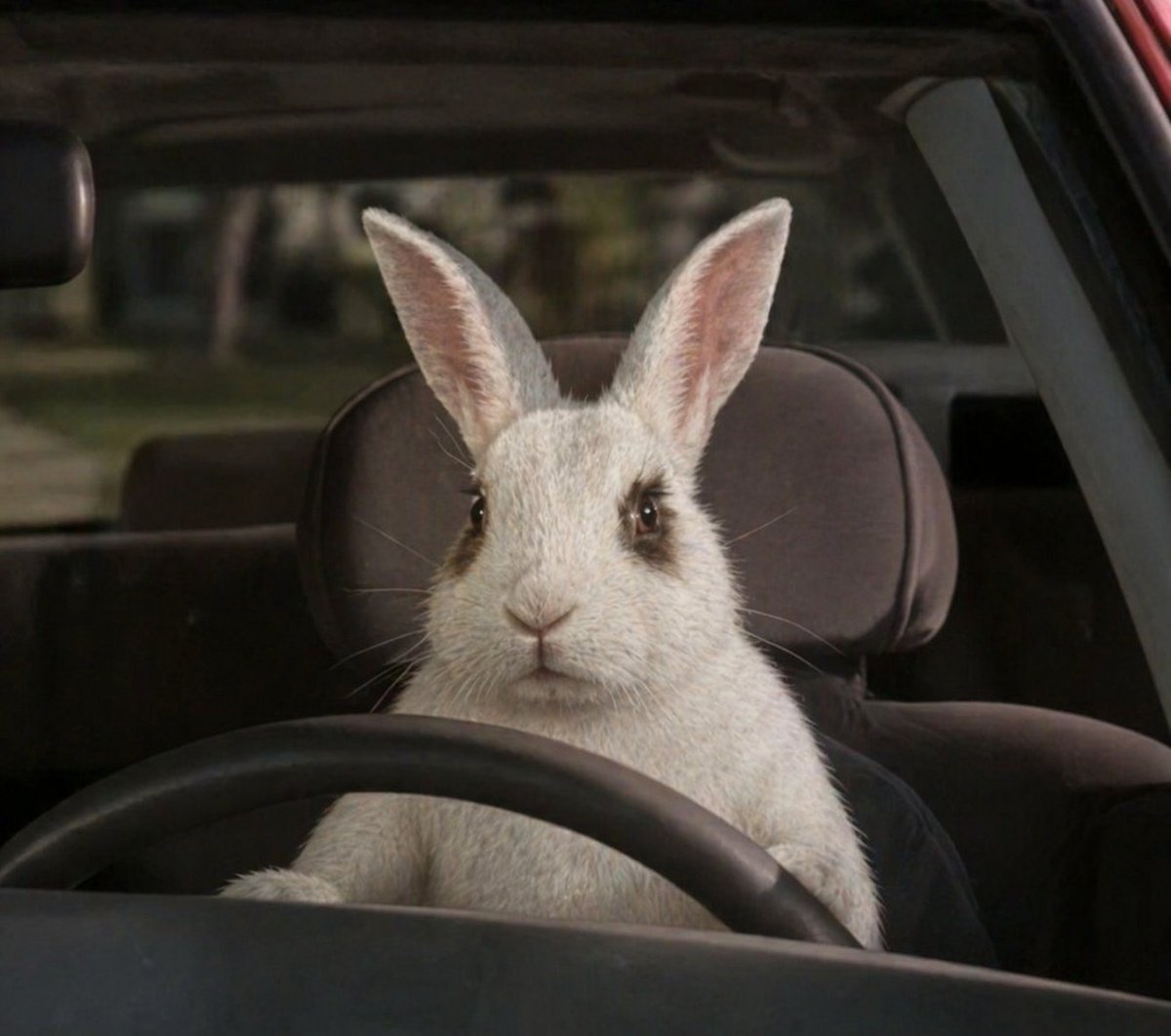 Dauzilla tweet media