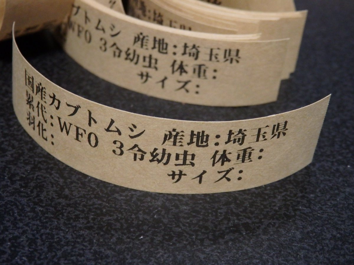 cafe_suzunari's tweet image. 累代表記の件皆さんに聞いといて良かった～危うく大量のラベルを印刷し直す所だったｗ
という事で、4月25日㈯に出品する生体です①💁
キッズさんもいらっしゃるようなので、国産カブト幼虫をキリが良い所で46匹持ってきます。※キッズじゃなくてもご購入頂けますｗ
#DreamChaser