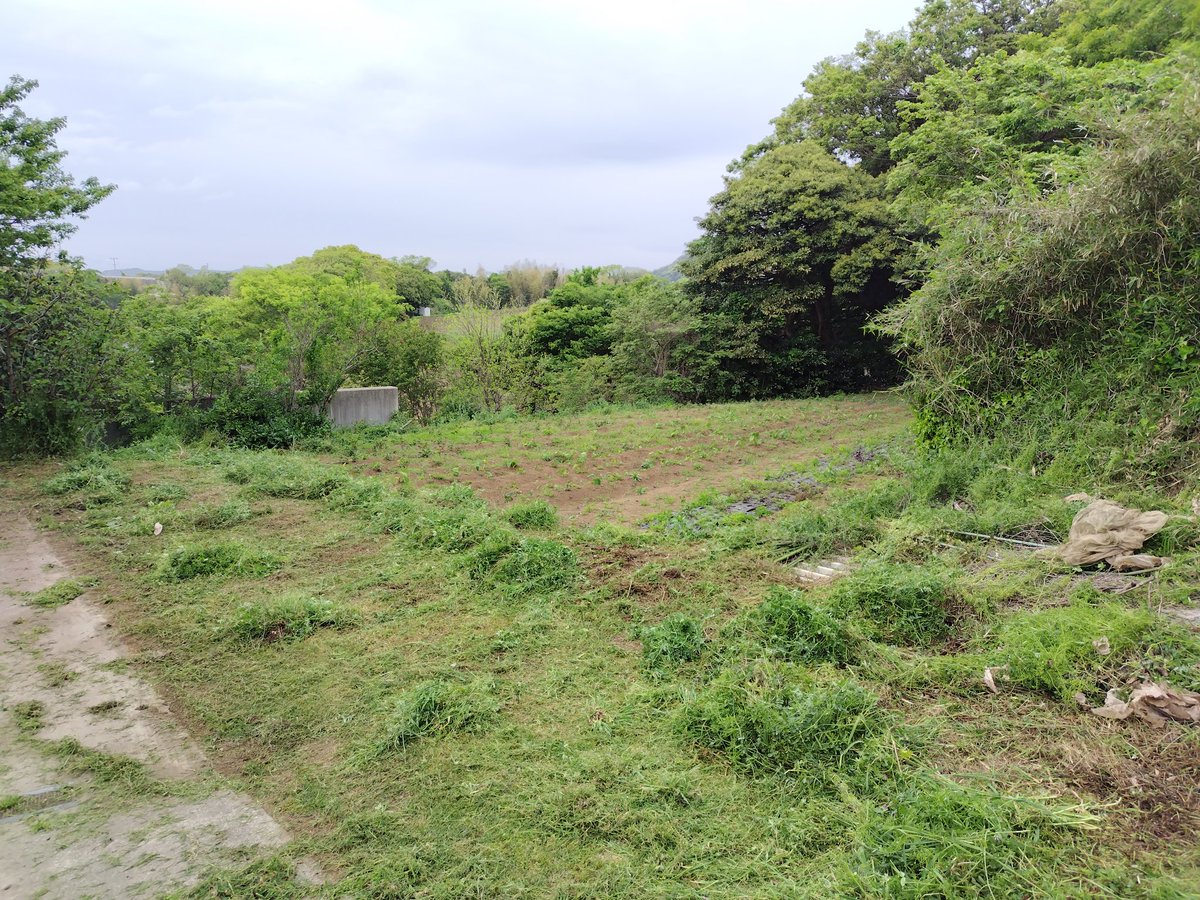 マック&シュンカナ-054🐈‍⬛🐈️ tweet media