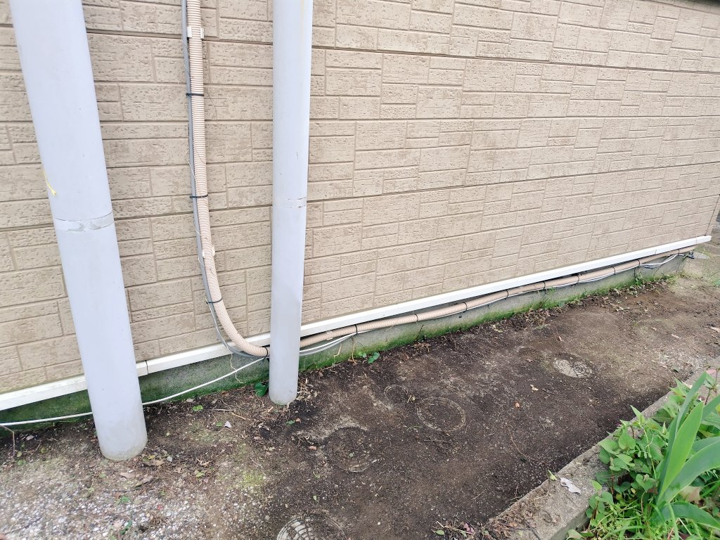 マック&シュンカナ-054🐈‍⬛🐈️ tweet media