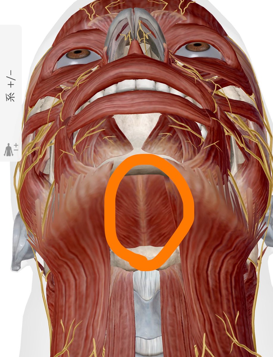 三浦叙人【脂肪吸引/修正】 tweet media