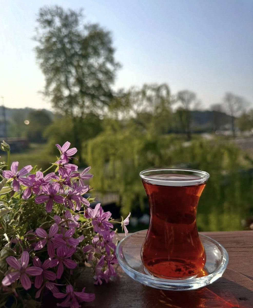 glrkzn_'s tweet photo. Aslında bazılarına teşekkür borçluyuz
Gereğinden fazla değer vermememiz
Gerektiğini bizlere hatırlattıkları için

O zaman manzara eşliğinde güzel 
Bir çay içelim😉🙃 https://t.co/aH5Yq0MpAW