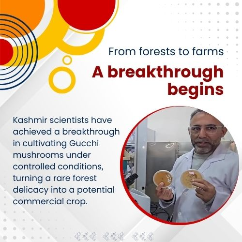 AwazThevoice's tweet image. Saving nature while growing opportunity

#SavingNature #GreenGrowth #SustainableFuture #EcoDevelopment #ClimateAction #NatureAndGrowth