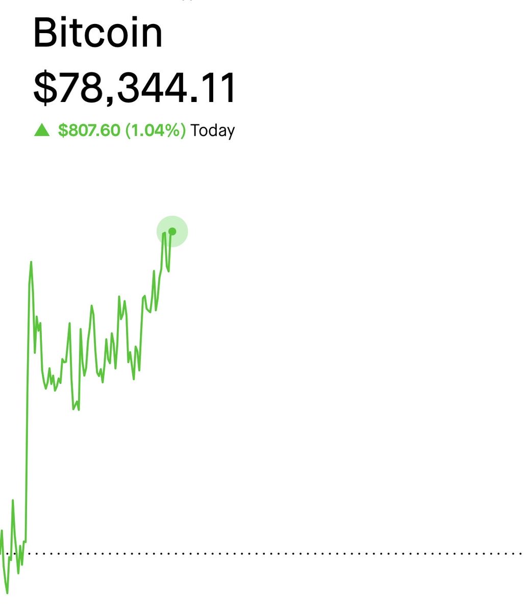 The ₿itcoin Therapist tweet media