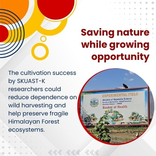 AwazThevoice's tweet image. Saving nature while growing opportunity

#SavingNature #GreenGrowth #SustainableFuture #EcoDevelopment #ClimateAction #NatureAndGrowth
