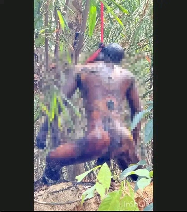 Nayan Sadhu, a priest of a Hindu temple in Khurushkul, Cox's Bazar, went missing 3 days agoToday, the mysterious body of Nayan Sadhu was found hanging from a charred tree in the forest in the depths of Khurushkul. Human Rights Congress For Bangladesh Minorities HRCBM
22 April 26