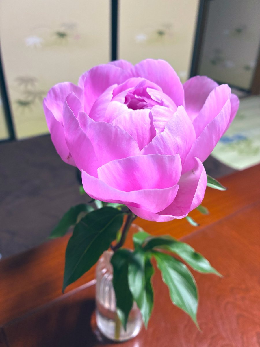 らっしー@趣味専用 tweet media