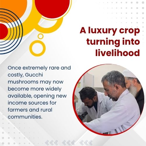 AwazThevoice's tweet image. Saving nature while growing opportunity

#SavingNature #GreenGrowth #SustainableFuture #EcoDevelopment #ClimateAction #NatureAndGrowth