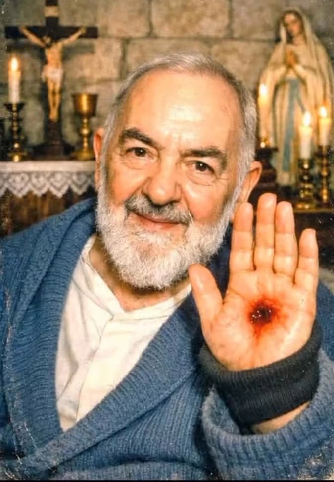 Catholic Quotes tweet media