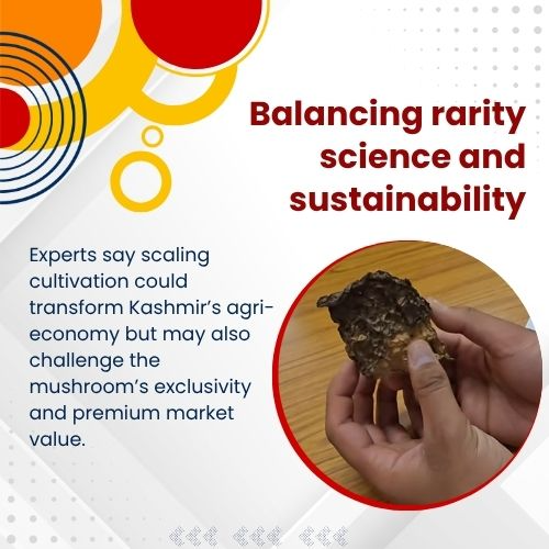 AwazThevoice's tweet image. Saving nature while growing opportunity

#SavingNature #GreenGrowth #SustainableFuture #EcoDevelopment #ClimateAction #NatureAndGrowth