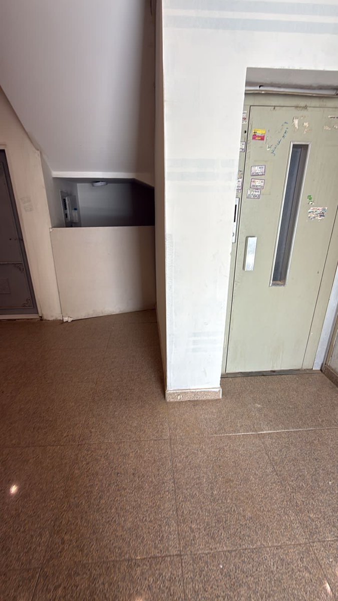 Alison Phillips tweet media