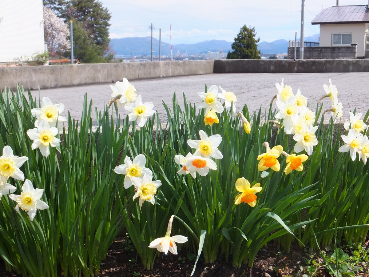 skyscraper185 tweet media