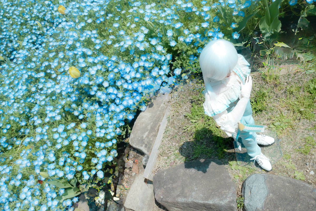 minaserunadoll3's tweet photo. sky blue 🩵.☆*

 #創作人形  
 #lafrigg https://t.co/cgZ5mvvT6H