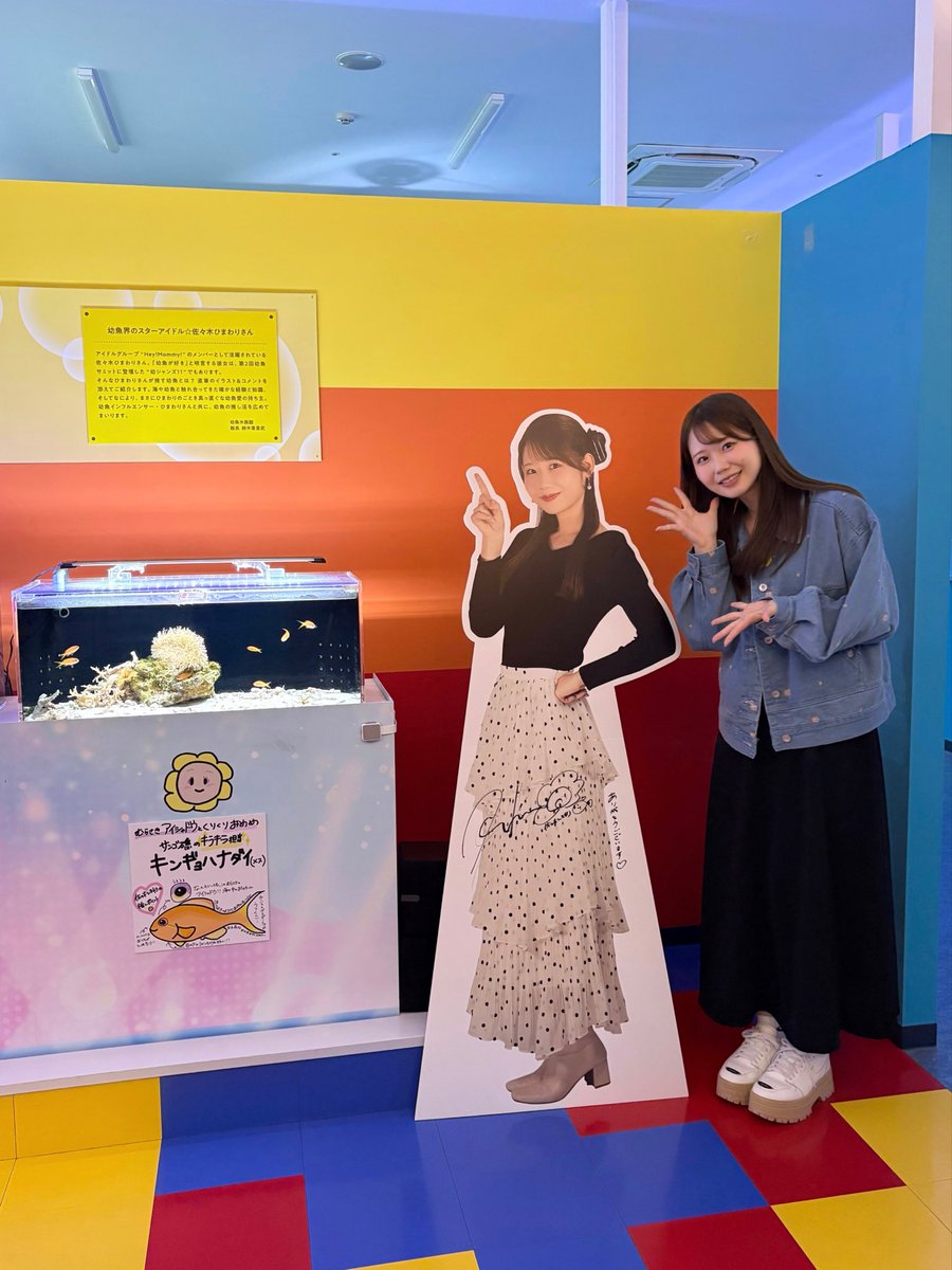 幼魚水族館に行ってきました🐟✨

夢の “佐々木ひまわり×幼魚水族館” コラボ！
とても嬉しい😭😭
推しのキンギョハナダイ（メス）をじっくり堪能できる水槽です♡
等身大パネルにサインも書いたよ✍🏻

早速見に行ってくれた方もありがとう♩
8/31までなのでぜひ遊びに行ってみてね！

#ひまわりお魚記録