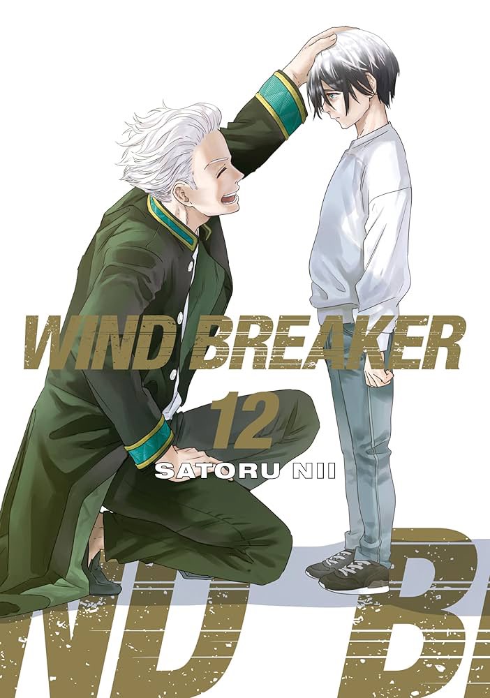 Can we all take a moment to appreciate the cover for vol 12? It really feels like the embodiment of “I wish I could give my past self a hug"