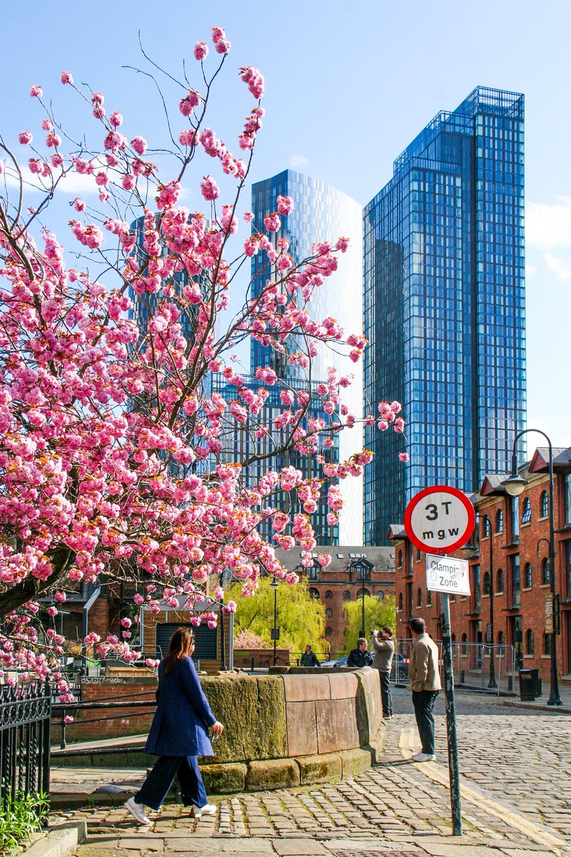Tmphoto96's tweet photo. Castlefield in bloom 

💕 https://t.co/9OsQhR4Gvq