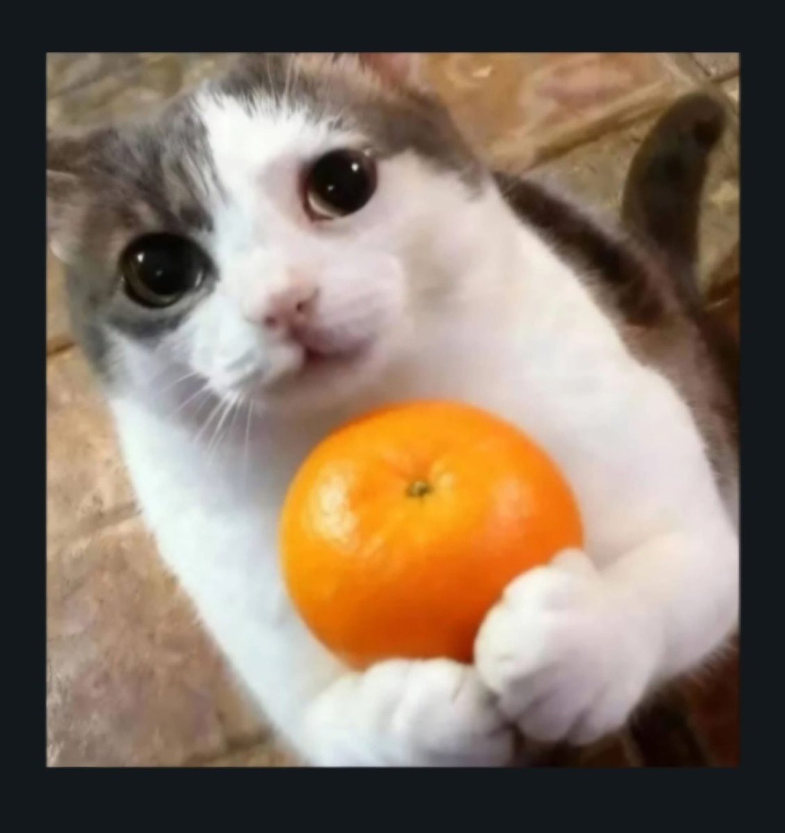 DragullFg's tweet photo. @asha_shar @Diamsito Gracias por tanto Tía Asha y perdón por tan poco y perdón por dudar de ti, eres la mejor 😭🥹 https://t.co/MhjpXpp7wW