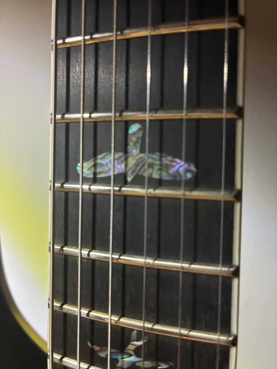 latte_sap's tweet image. お待たせいたしました。
PRS SE Hollowbody II Piezo

しかも、ご本人のサイン入りです！

ポールズギターSEと共に楽しんでいきましょう。

#MNG
#萩原悠ギター教室
#GuitarShopTONIQ

小澤様、皆様。ありがとうございました。