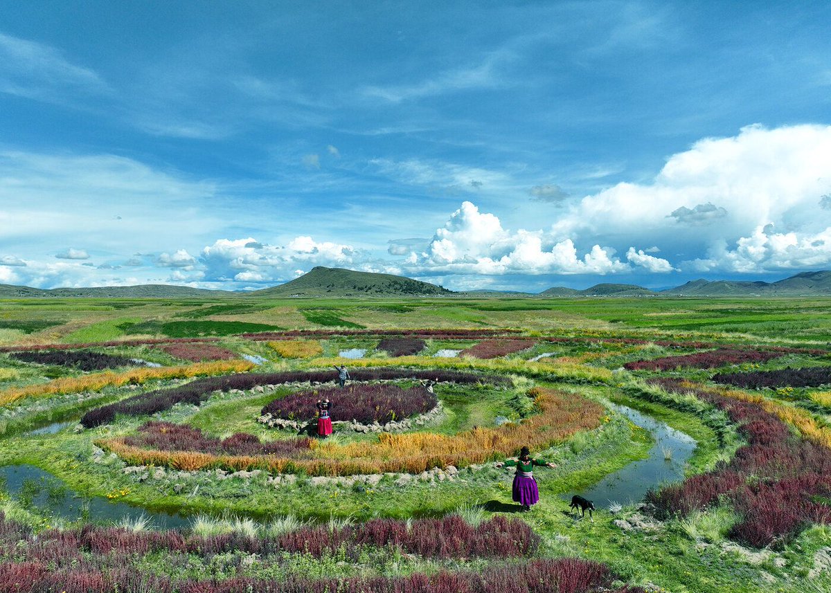 ArchDaily's tweet photo. The United Nations' International Mother Earth Day, observed annually on April 22, aims to "promote harmony with nature and the Earth." In light of the urgency posed by climate change, it seeks to raise awareness of the challenges of preserving all forms of life supported by the planet.

Read more about this topic by following the link: https://t.co/A8qbMmgqGr