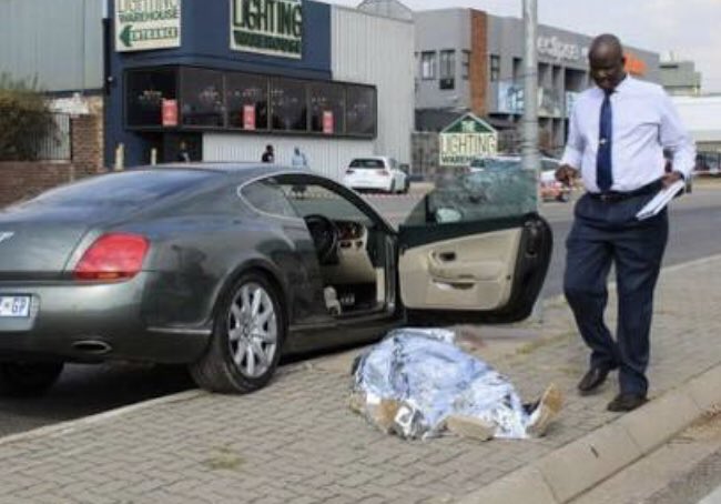 Sunflower tweet media