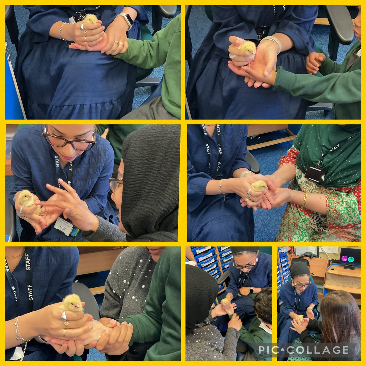 wyndclf's tweet photo. Today we had a special visitor in the Bumblebees. In science we are learning all about living things. #WPS #Voice21 #LeighTrust #science #resourcebase https://t.co/vGWKPZ2aWu