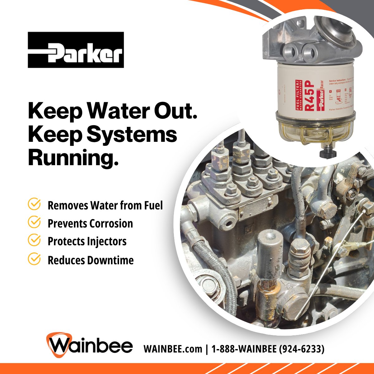 Wainbee Limited tweet media