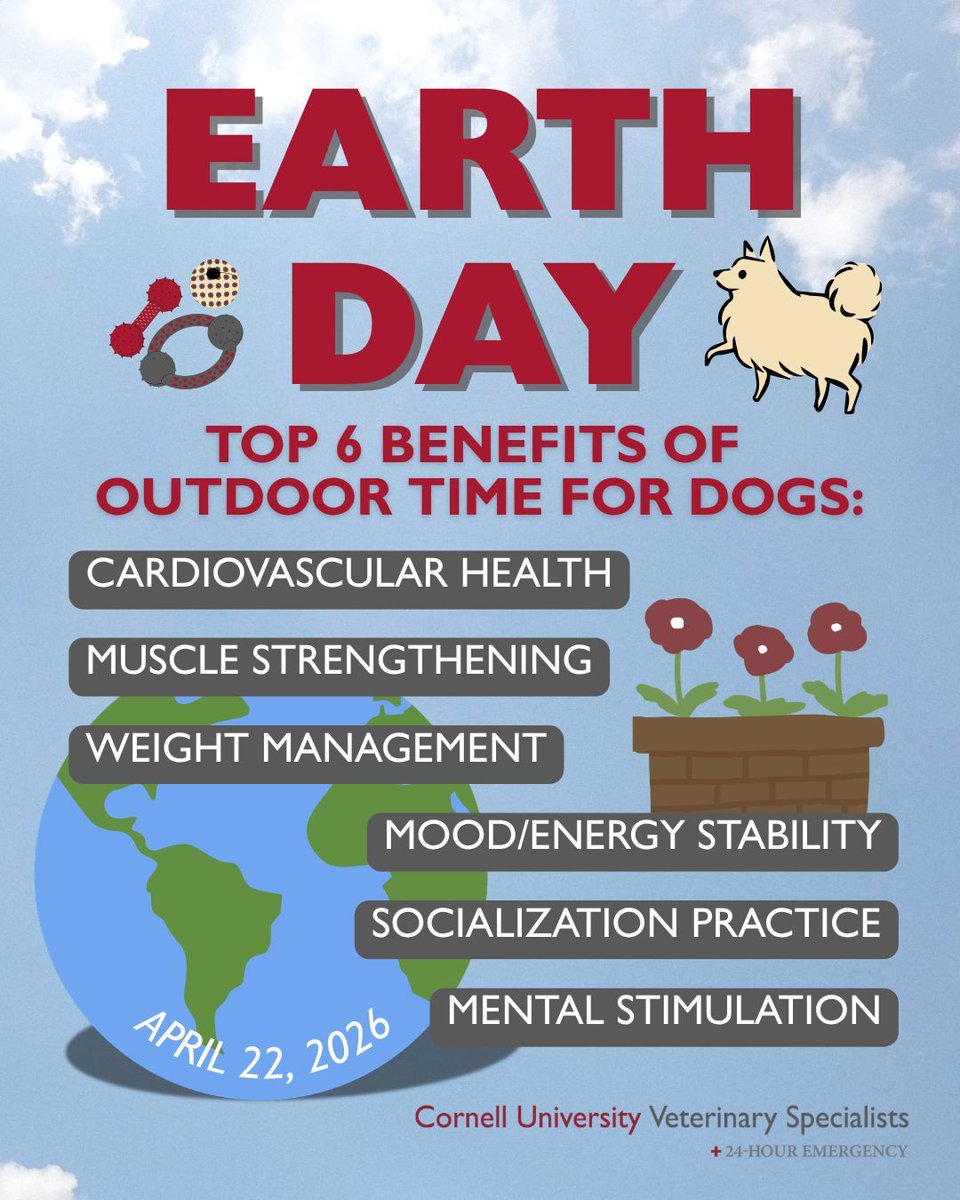 CUVS_Stamford's tweet photo. 🌎 While your cat may be more of a homebody, there are countless benefits that can come with time spent outside for dogs. This Earth Day, consider fitting in extra time for outdoor activities with the whole family! ♥️🐾

#EarthDay2026 #HappyEarthDay #PetHealth https://t.co/HuaujLBWyG