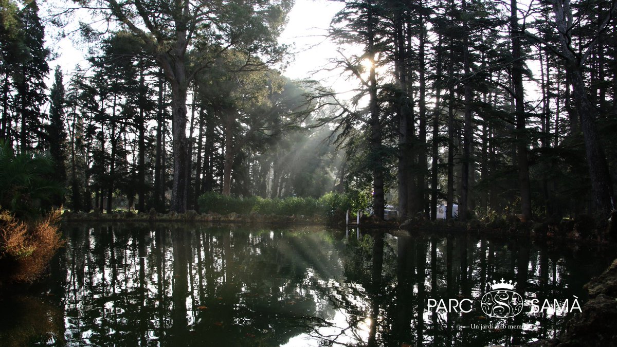 ParcSama's tweet image. #DiaInternacionalDeLaTerra.

Protegir aire, aigua, sòl i #Biodiversitat és essencial per a la nostra vida.

🌿 Al #ParcSamà tenim cura del #Planeta.

📸 Eduardo Trallero

#Cambrils #CostaDaurada #Tarragona