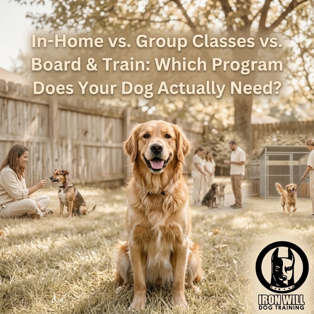 IRONWILLDOGS's tweet image. Which program does your dog really need? 🐾 We compare In-Home, Group, and Board &amp;amp; Train in our latest blog to help you find the best fit for your goals.

Read more: ironwilldogtraining.com/blog

#DogTraining #PuppyTips #IronWill #CovingtonGA