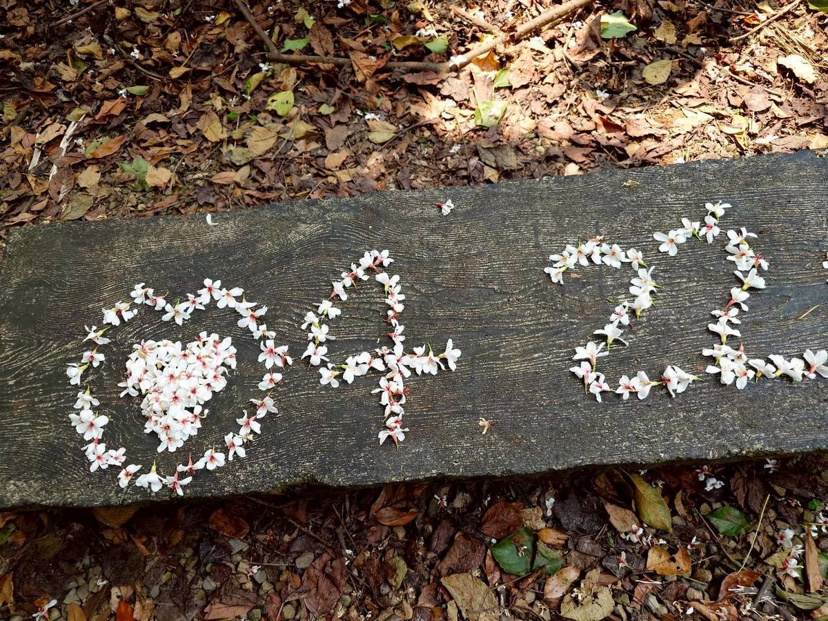 sAndra Shen tweet media