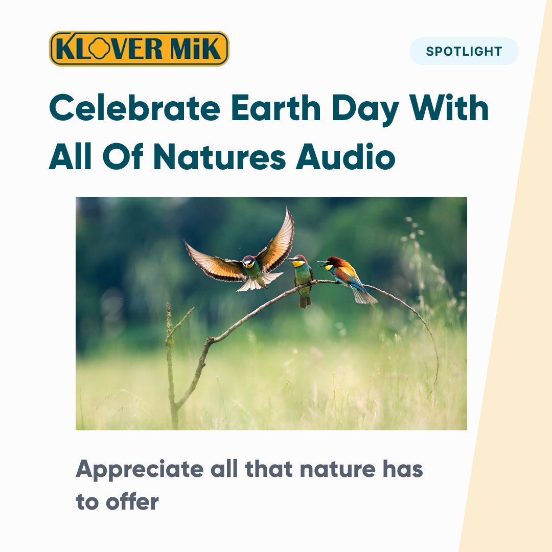kloverprod1's tweet image. 🌍🎙️ Earth Day: Capturing the Beauty of Nature with KLOVER 🌿🎤

#EarthDay #NatureAudio #ProAudio #CapturingNature #AudioOfTheEarth #KloverMiK #parabolic #parabolicmicrophone #microphone #audio #audioproduction #production #foryou #foryoupage