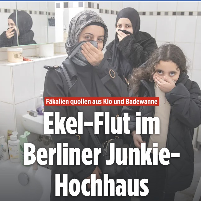 ☭⃠🌻⚔️ ✡︎ tweet media