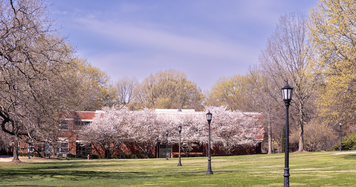 MeredithCollege's tweet photo. Happy Earth Day! We are thankful to walk these grounds every day. https://t.co/hJ2hGaZj3S