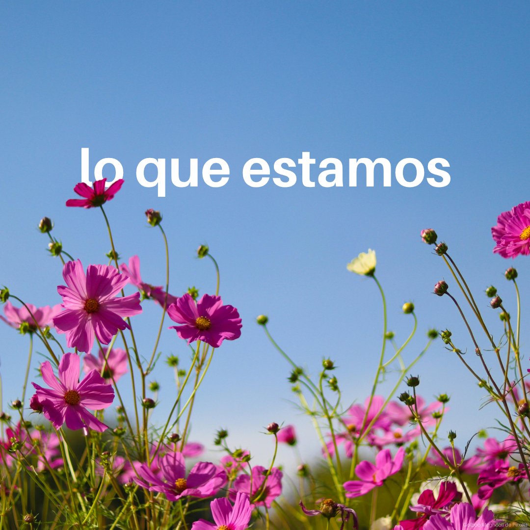 Programa ONU Medio Ambiente tweet media