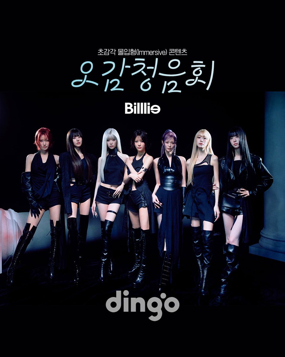 dingo(딩고) tweet media