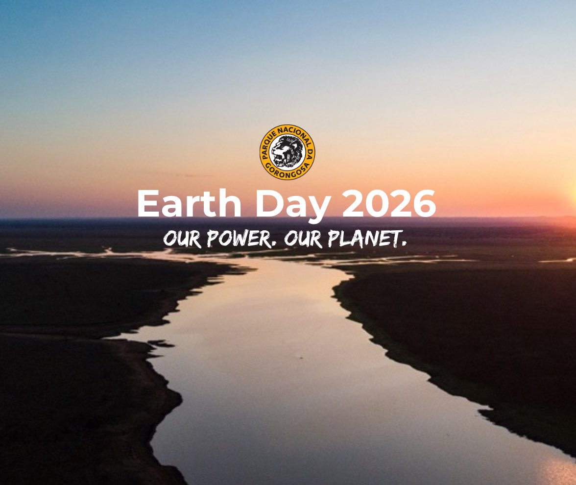 GorongosaPark's tweet photo. We believe when communities thrive, nature will too.

The future of Gorongosa Park and our planet starts with people—helping farmers grow resilient cash crops; increasing access to education, healthcare and clean water; and creating economic opportunities for everyone. https://t.co/hntS6zXc7Y