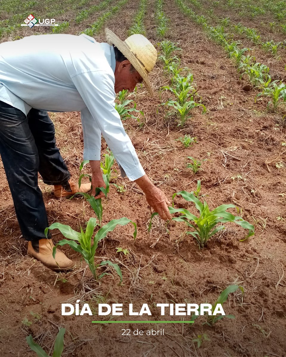 Unión de Gremios de la Producción tweet media