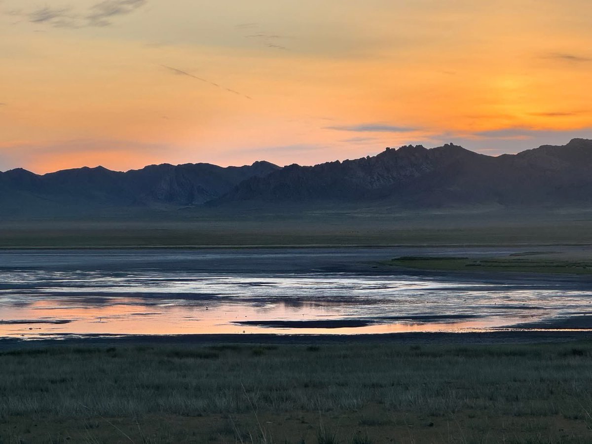 Хөх Толбот🇲🇳 tweet media