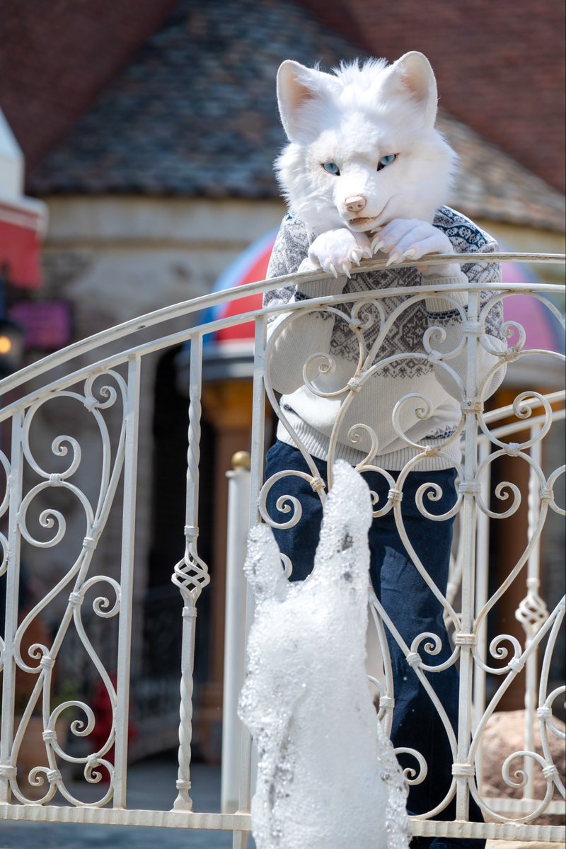 フィーカ/Fika ☕️ tweet media