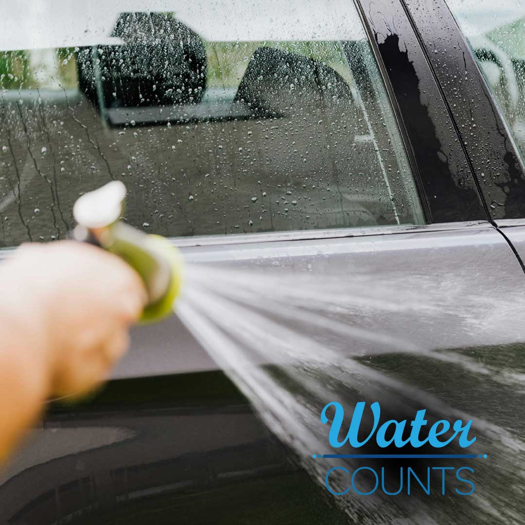 CV Water Counts tweet media