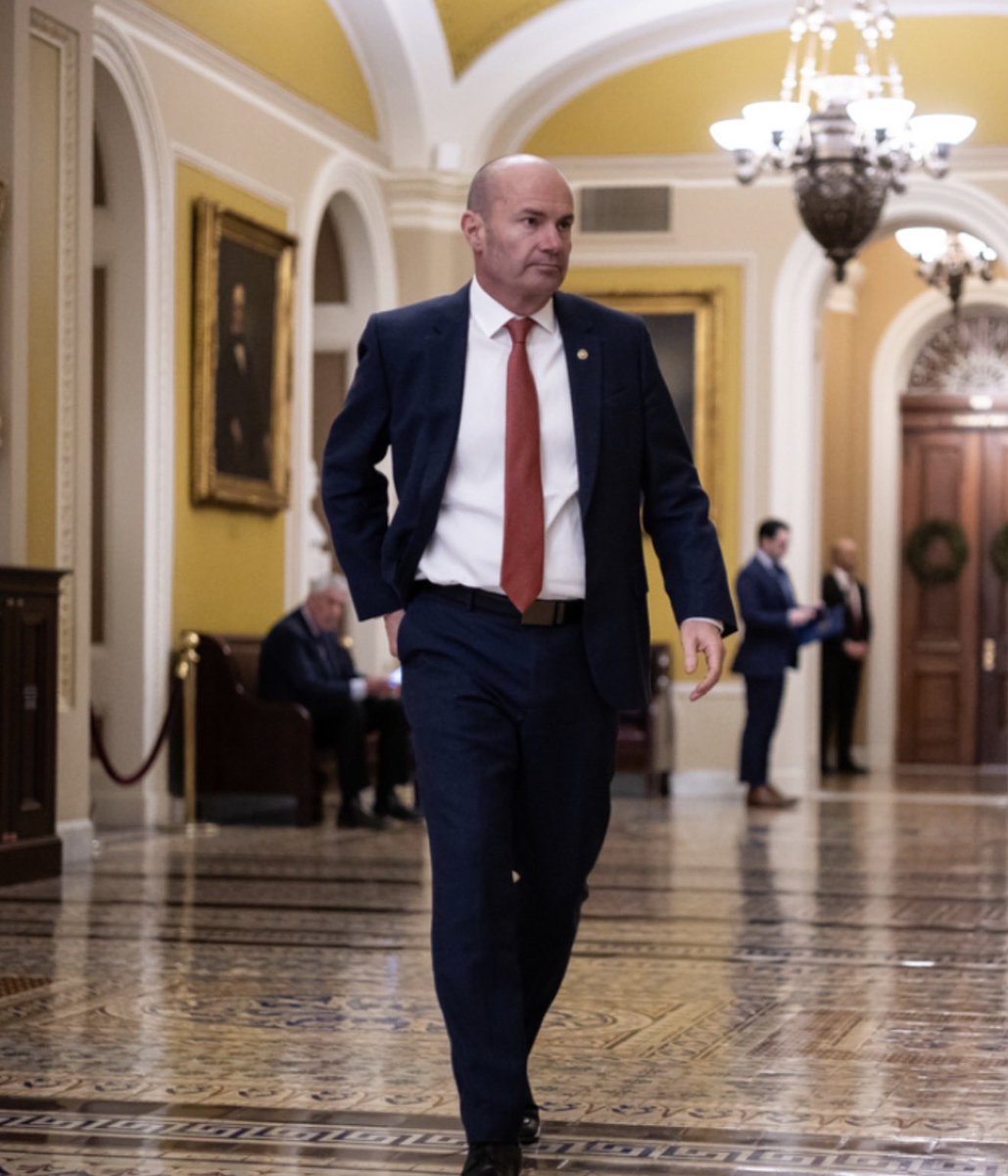 รαℓƭ + ℓเɠɦƭ tweet media