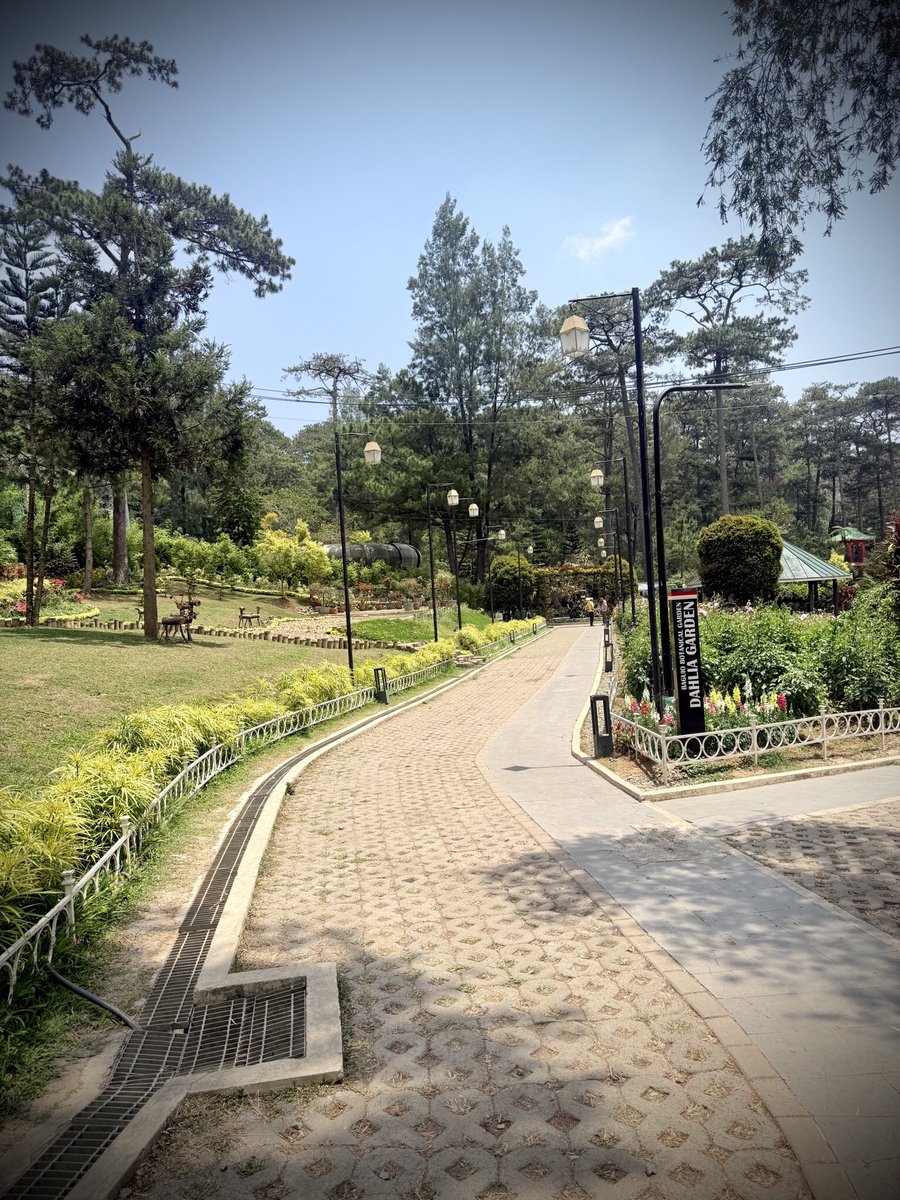 amriksaini787's tweet photo. The Baguio Botanical Garden, formerly known as Imelda Park, is a botanical garden in Baguio, Philippines https://t.co/kzTQs9iYq2