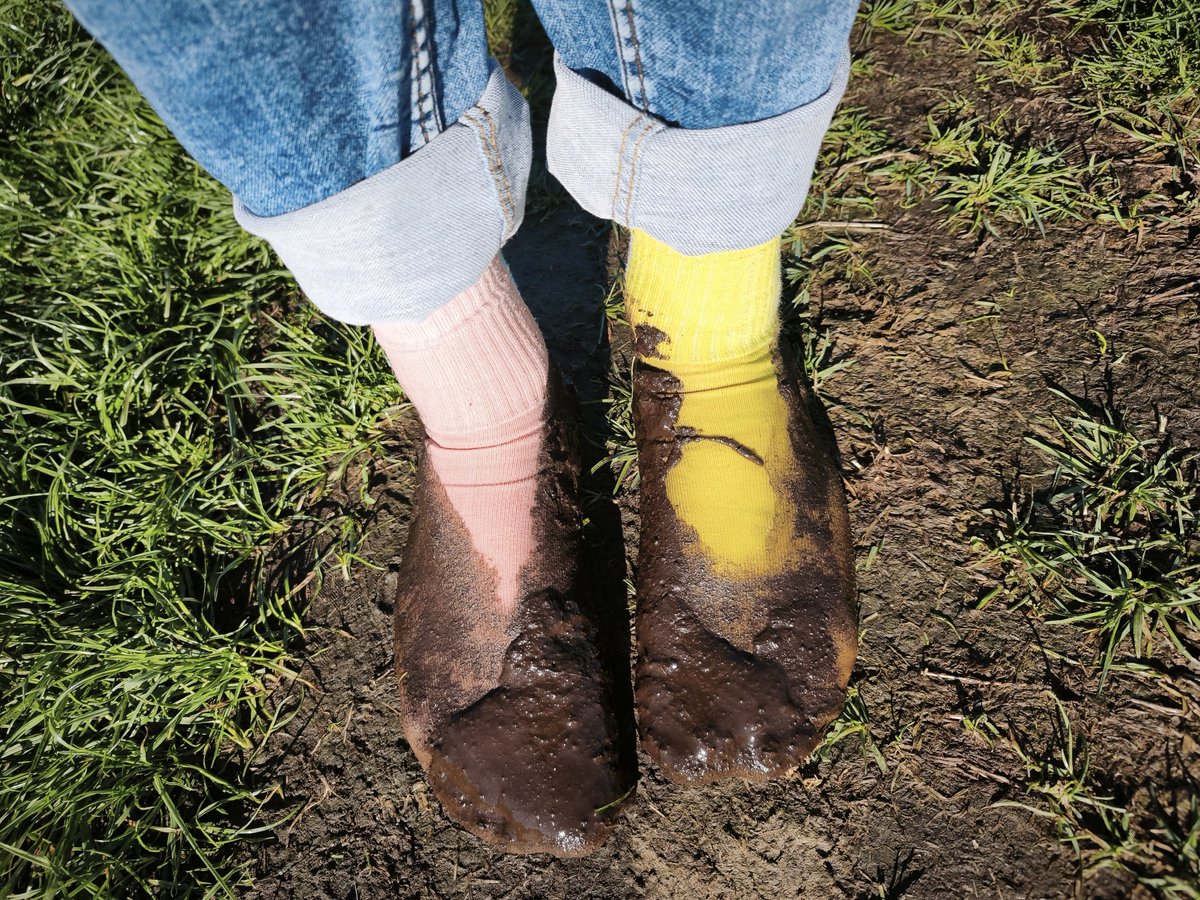 socks_sneakers's tweet photo. He destroyed his cute socks... What a loser he his. Make fun of this little dirty faggot. 🤭

#socks #socken #buntesocken #colorfulsocks #dirtysocks #smellysocks #sweatysocks #muddysocks #loser https://t.co/EKz6fvPhsp