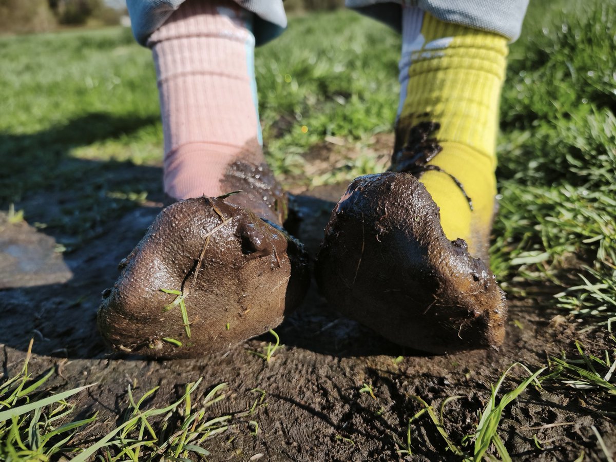 socks_sneakers's tweet photo. He destroyed his cute socks... What a loser he his. Make fun of this little dirty faggot. 🤭

#socks #socken #buntesocken #colorfulsocks #dirtysocks #smellysocks #sweatysocks #muddysocks #loser https://t.co/EKz6fvPhsp