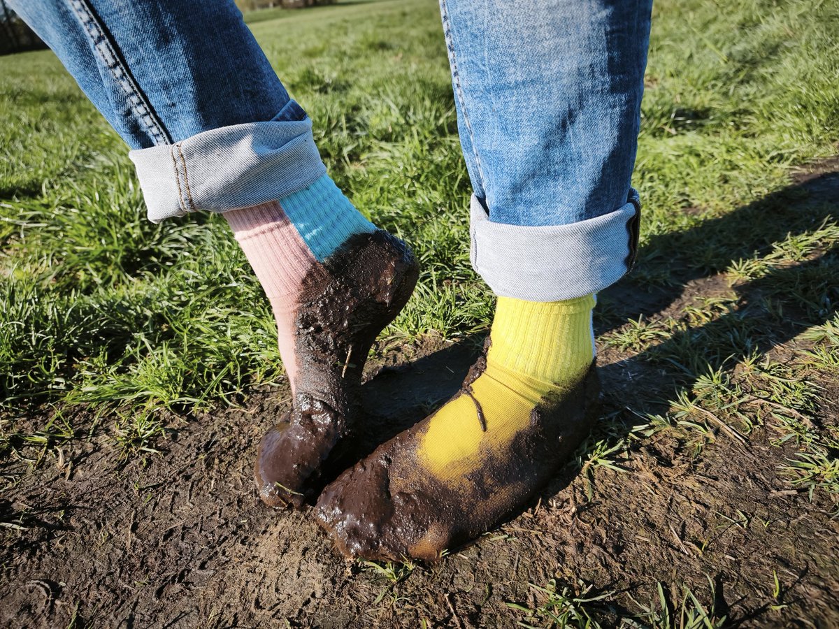socks_sneakers's tweet photo. He destroyed his cute socks... What a loser he his. Make fun of this little dirty faggot. 🤭

#socks #socken #buntesocken #colorfulsocks #dirtysocks #smellysocks #sweatysocks #muddysocks #loser https://t.co/EKz6fvPhsp
