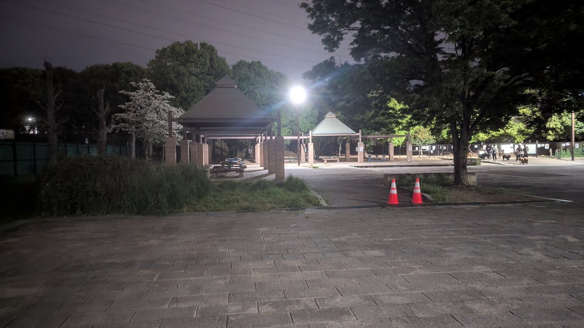 まき♂️純男 tweet media