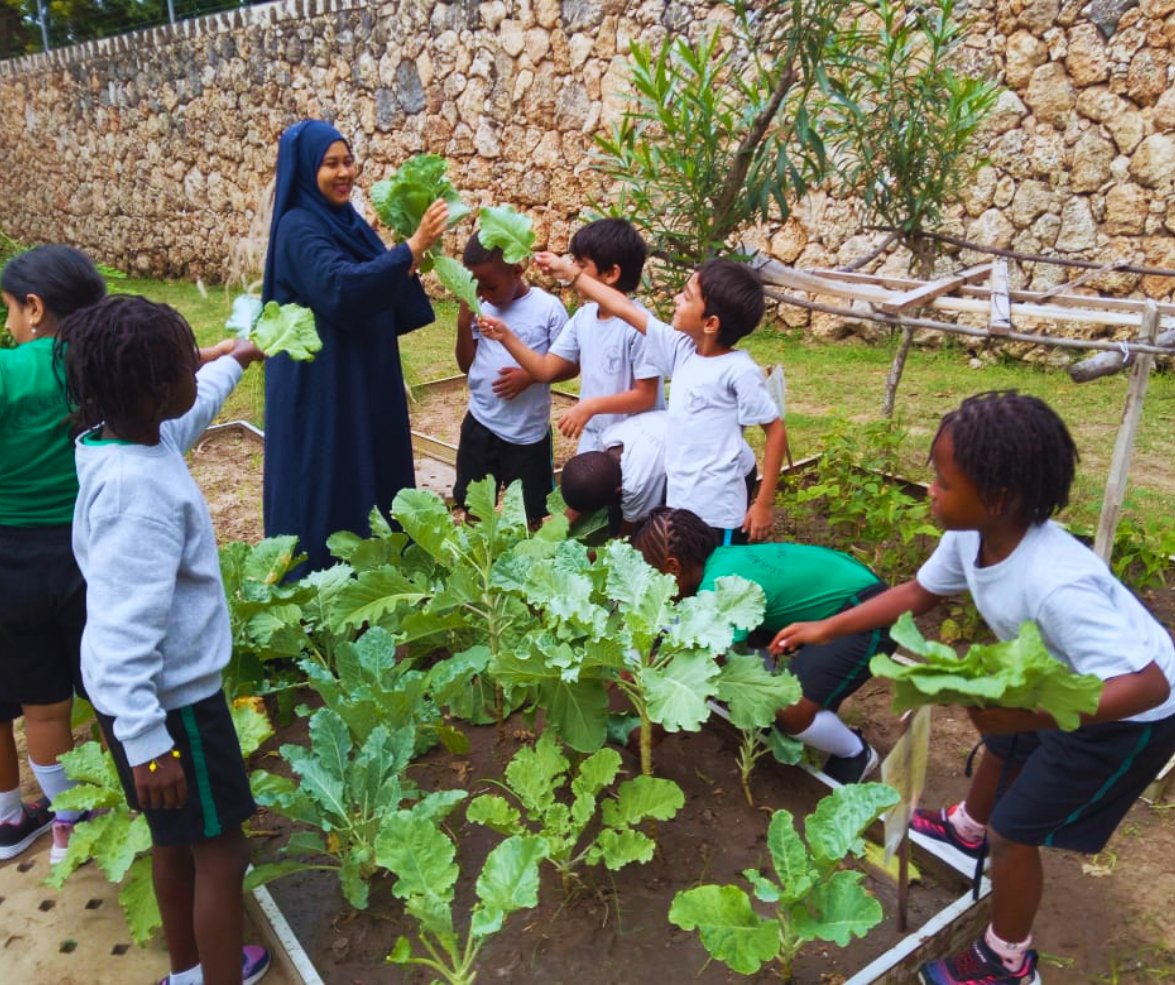 AKAcademies's tweet photo. We’re loving this photo of Grade 1 students in a hands-on lesson with their teacher at #AKAMombasa's school #garden, exploring the entire life cycle of their food – growing, harvesting and eventually sharing the vegetables with the school's kitchen for lunch.🥕🥗

@akdn https://t.co/oOB4pYs322