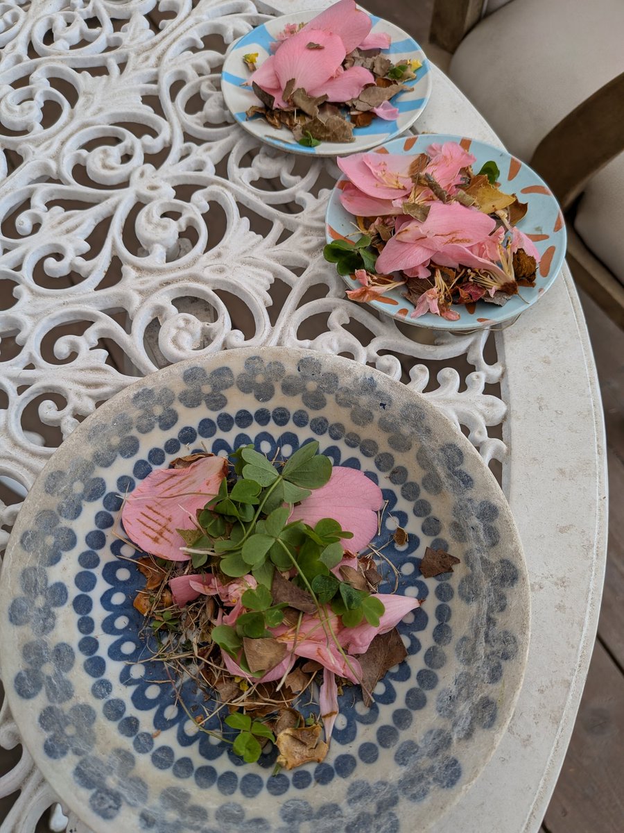 猪川朱美 tweet media