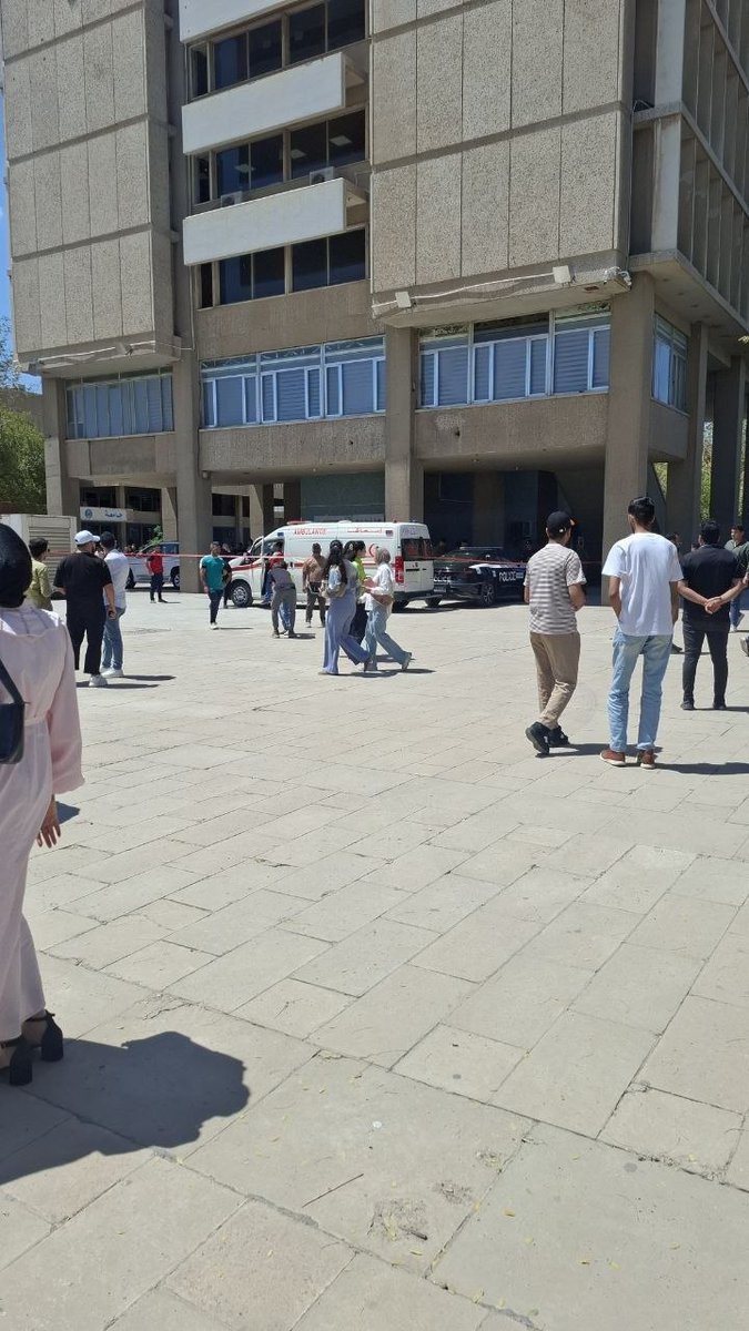 قطة 🐱 tweet media